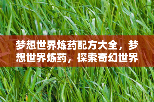 梦想世界炼药配方大全,梦想世界炼药,探索奇幻世界的药剂奥秘 梦想世界炼药配方大全,梦想世界炼药,探索奇幻世界的药剂奥秘