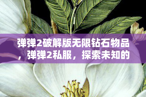 弹弹2破解版无限钻石物品，弹弹2私服，探索未知的游戏世界