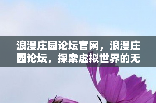 浪漫庄园论坛官网，浪漫庄园论坛，探索虚拟世界的无限可能