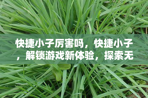 快捷小子厉害吗,快捷小子,解锁游戏新体验,探索无限可能 快捷小子厉害吗,快捷小子,解锁游戏新体验,探索无限可能