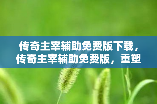 传奇主宰辅助免费版下载，传奇主宰辅助免费版，重塑经典，助力传奇之旅
