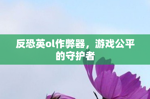 反恐英ol作弊器，游戏公平的守护者