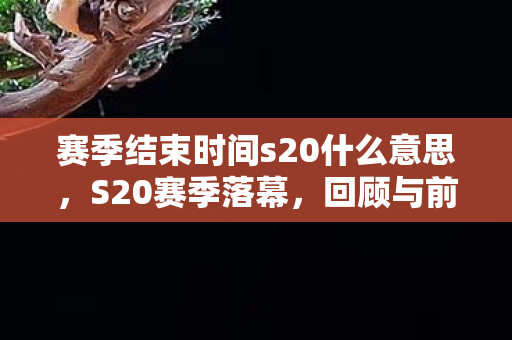 赛季结束时间s20什么意思，S20赛季落幕，回顾与前瞻