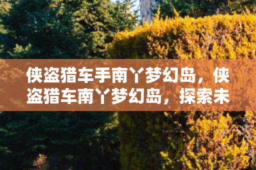 侠盗猎车手南丫梦幻岛，侠盗猎车南丫梦幻岛，探索未知的自由与冒险