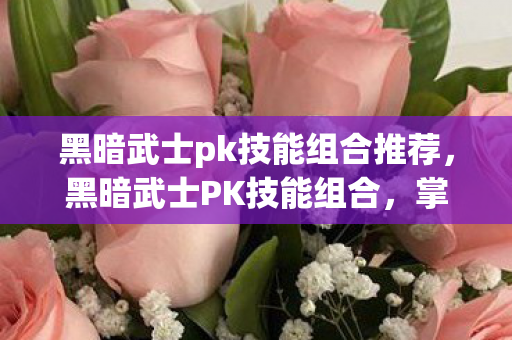 黑暗武士pk技能组合推荐，黑暗武士PK技能组合，掌控战场，主宰胜负