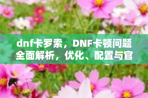 dnf卡罗索,DNF卡顿问题全面解析,优化、配置与官方支持 dnf卡罗索,DNF卡顿问题全面解析,优化、配置与官方支持