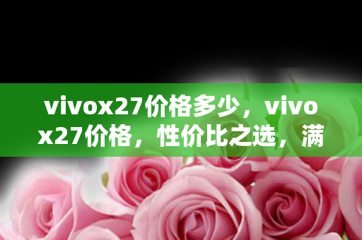 vivox27价格多少，vivox27价格，性价比之选，满足你的需求