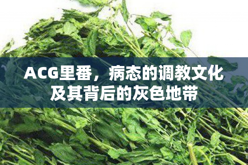 ACG里番，病态的调教文化及其背后的灰色地带