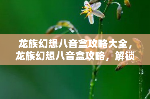 龙族幻想八音盒攻略大全,龙族幻想八音盒攻略,解锁音乐与幻想的奇妙之旅 龙族幻想八音盒攻略大全,龙族幻想八音盒攻略,解锁音乐与幻想的奇妙之旅