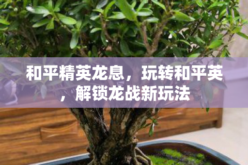 和平精英龙息,玩转和平英,解锁龙战新玩法 和平精英龙息,玩转和平英,解锁龙战新玩法