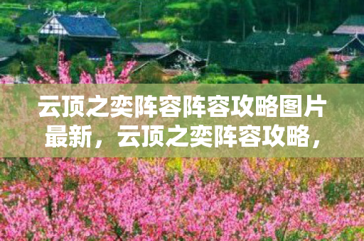 云顶之奕阵容阵容攻略图片最新，云顶之奕阵容攻略，最新强势阵容推荐