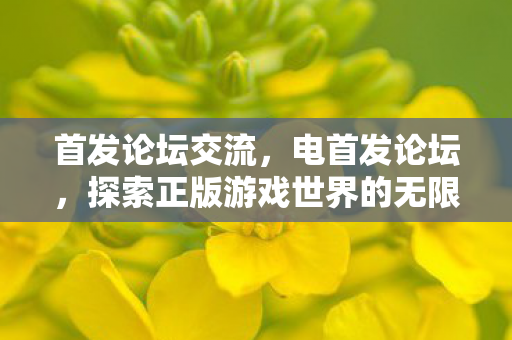 首发论坛交流，电首发论坛，探索正版游戏世界的无限可能