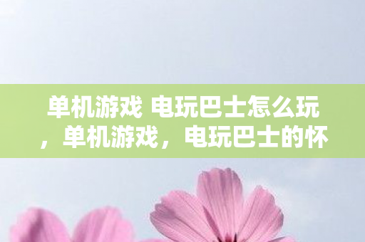 单机游戏 电玩巴士怎么玩，单机游戏，电玩巴士的怀旧之旅