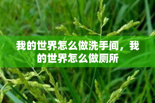 我的世界怎么做洗手间，我的世界怎么做厕所