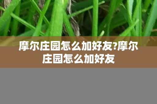 摩尔庄园怎么加好友?摩尔庄园怎么加好友 摩尔庄园怎么加好友?摩尔庄园怎么加好友