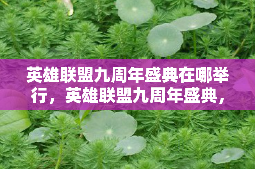 英雄联盟九周年盛典在哪举行，英雄联盟九周年盛典，回忆与未来的交响