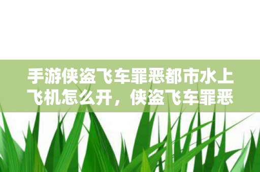 手游侠盗飞车罪恶都市水上飞机怎么开，侠盗飞车罪恶都市秘籍水上漂，解锁水上漂秘籍，畅游罪恶都市