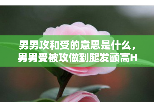 男男攻和受的意思是什么，男男受被攻做到腿发颤高H漫画，探索欲望与情感的边界