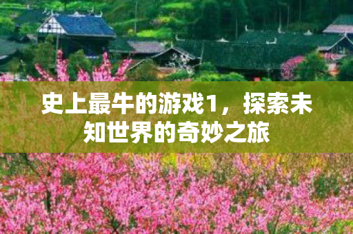 史上最牛的游戏1，探索未知世界的奇妙之旅