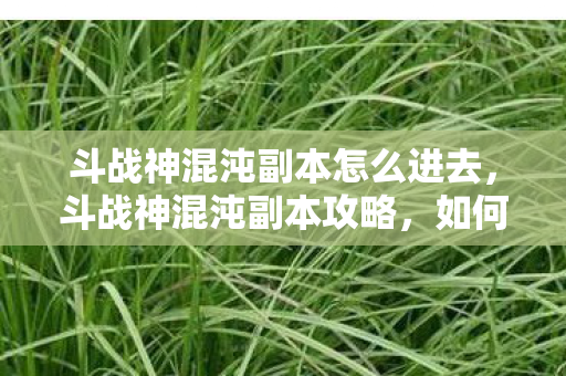 斗战神混沌副本怎么进去，斗战神混沌副本攻略，如何顺利进入