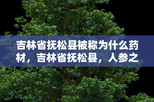 吉林省抚松县被称为什么药材,吉林省抚松县,人参之乡的传奇 吉林省抚松县被称为什么药材,吉林省抚松县,人参之乡的传奇