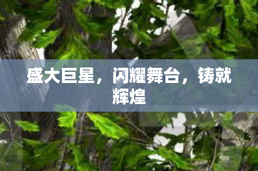 盛大巨星，闪耀舞台，铸就辉煌