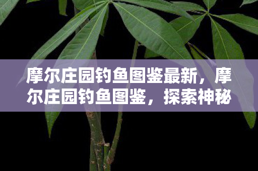 摩尔庄园钓鱼图鉴最新,摩尔庄园钓鱼图鉴,探索神秘水域,收获丰富鱼种 摩尔庄园钓鱼图鉴最新,摩尔庄园钓鱼图鉴,探索神秘水域,收获丰富鱼种