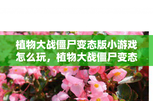 植物大战僵尸变态版小游戏怎么玩，植物大战僵尸变态版小游戏，挑战与乐趣并存