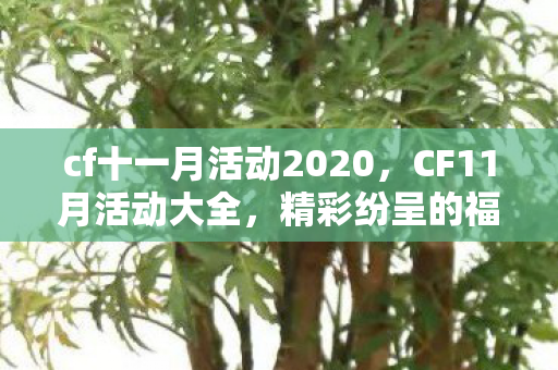 cf十一月活动2020，CF11月活动大全，精彩纷呈的福利盛宴