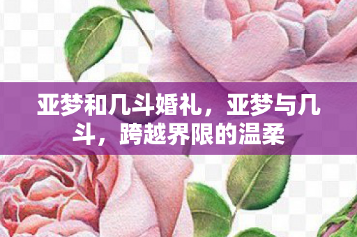 亚梦和几斗婚礼，亚梦与几斗，跨越界限的温柔