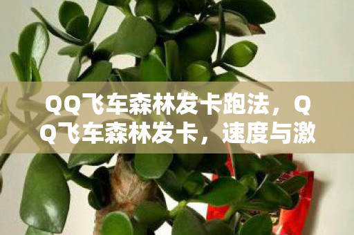 QQ飞车森林发卡跑法，QQ飞车森林发卡，速度与激情的赛道挑战