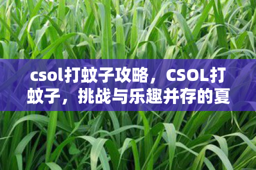 csol打蚊子攻略,CSOL打蚊子,挑战与乐趣并存的夏日活动 csol打蚊子攻略,CSOL打蚊子,挑战与乐趣并存的夏日活动