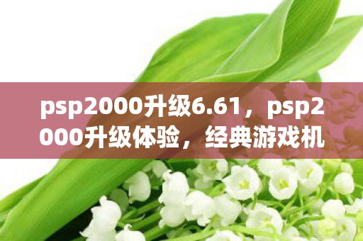 psp2000升级6.61，psp2000升级体验，经典游戏机焕发新生