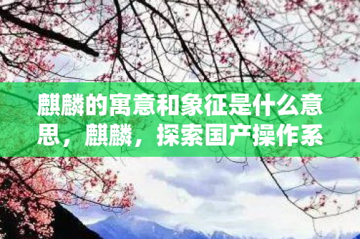 麒麟的寓意和象征是什么意思，麒麟，探索国产操作系统的新篇章