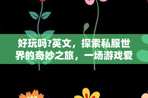 好玩吗?英文,探索私服世界的奇妙之旅,一场游戏爱好者的自由幻想 好玩吗?英文,探索私服世界的奇妙之旅,一场游戏爱好者的自由幻想