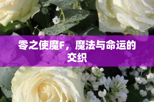 零之使魔F，魔法与命运的交织