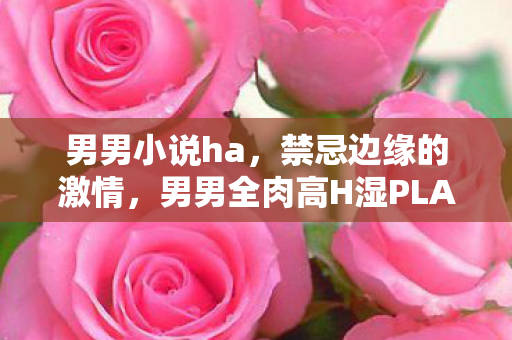 男男小说ha，禁忌边缘的激情，男男全肉高H湿PLAY短篇
