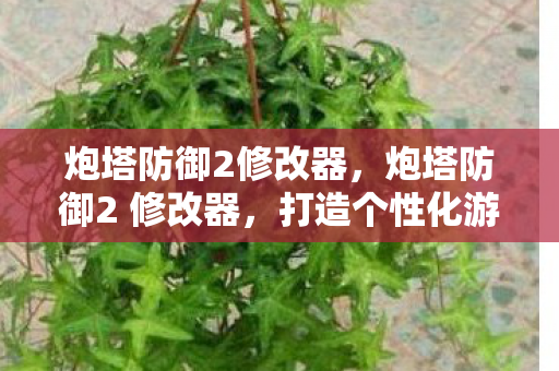 炮塔防御2修改器，炮塔防御2 修改器，打造个性化游戏体验的利器