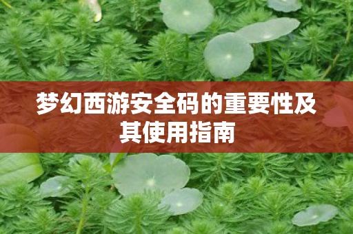 梦幻西游安全码的重要性及其使用指南