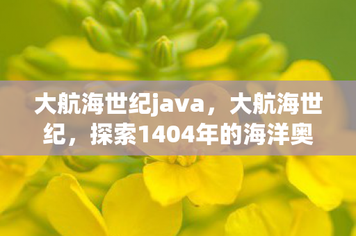大航海世纪java,大航海世纪,探索1404年的海洋奥秘 大航海世纪java,大航海世纪,探索1404年的海洋奥秘