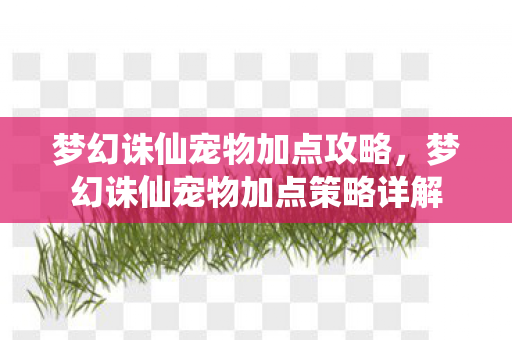梦幻诛仙宠物加点攻略，梦幻诛仙宠物加点策略详解