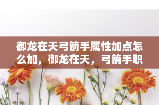 御龙在天弓箭手属性加点怎么加，御龙在天，弓箭手职业加点策略详解