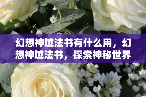 幻想神域法书有什么用，幻想神域法书，探索神秘世界的钥匙