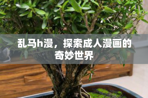 乱马h漫，探索成人漫画的奇妙世界