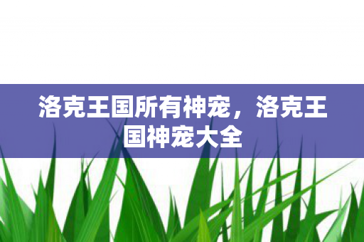 洛克王国所有神宠，洛克王国神宠大全