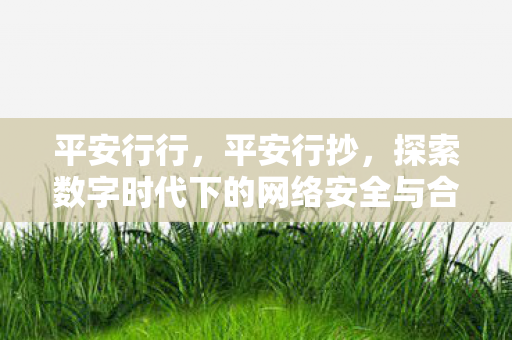 平安行行，平安行抄，探索数字时代下的网络安全与合规之路