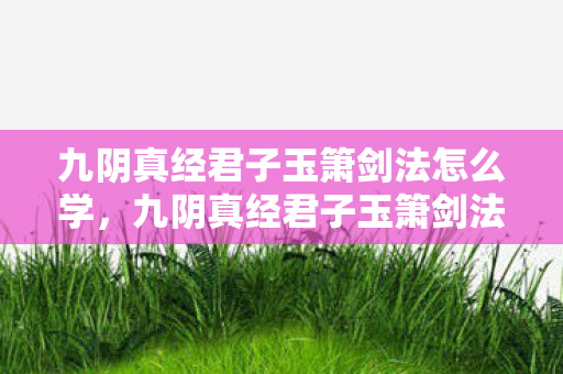 九阴真经君子玉箫剑法怎么学，九阴真经君子玉箫剑法，剑舞长空，君子之风