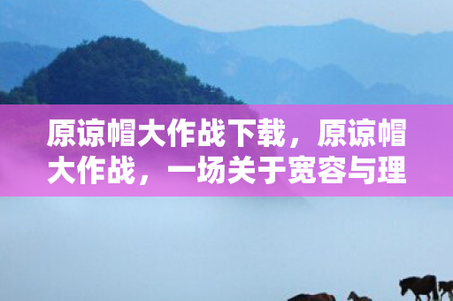 原谅帽大作战下载，原谅帽大作战，一场关于宽容与理解的趣味挑战