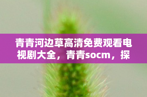 青青河边草高清免费观看电视剧大全，青青socm，探索游戏世界的无限可能