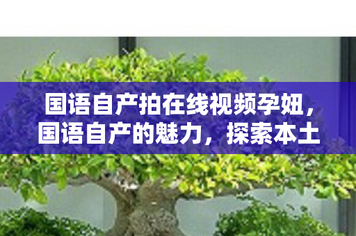 国语自产拍在线视频孕妞,国语自产的魅力,探索本土文化的独特韵味 国语自产拍在线视频孕妞,国语自产的魅力,探索本土文化的独特韵味